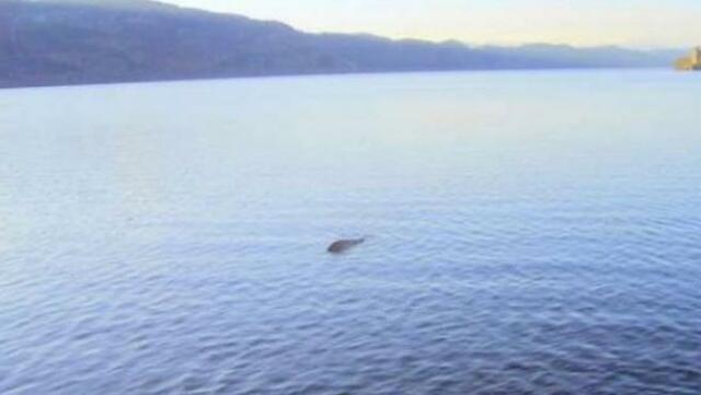 There are more photos