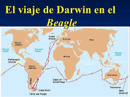 Viaje de Beagle