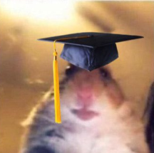 Achievement unlocked: Educación Primaria