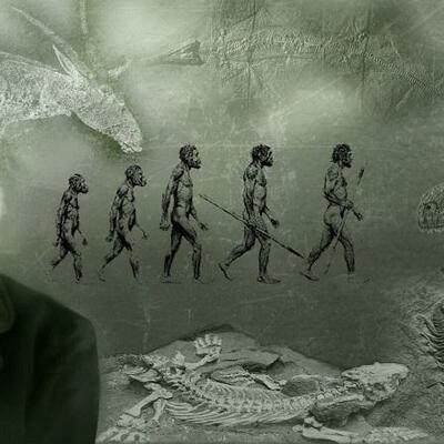 Timeline: APORTACIONES A LA ECOLOGÍA