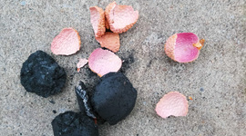 Timeline: 2020 – The Year in a Playlist