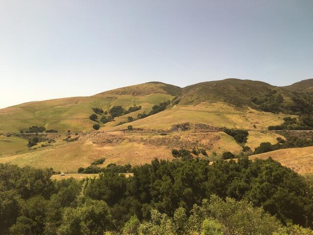 1406 BC: Moses' Final Words: Deuteronomy 32-34