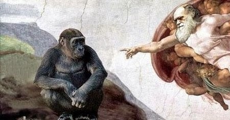 Evolucionistas y Creacionistas