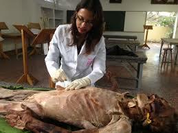 Ingresa en la Universidad de Edimburgo para estudiar medicina.