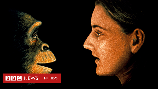 ublica The Descent of Man and Selection in Realtion to Sex (La descendencia humana y la selección sexual).