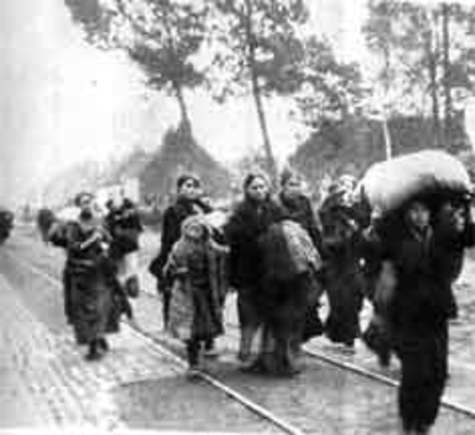 Germany Invades Belgium and France