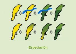 La teoría sintética