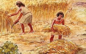 Descoberta de l'agricultura