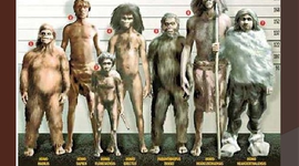 Timeline: La evolución humana