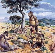 Aparició dels primers homínids