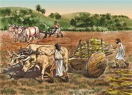 Descoberta de l'Agricultura