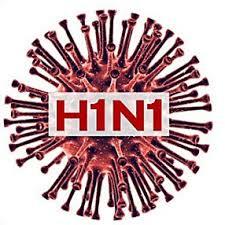 Mexico/H1N1