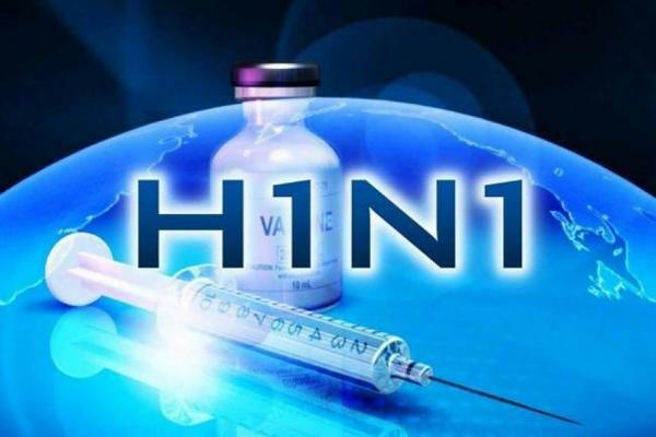 Mexico/H1N1 (Agosto)