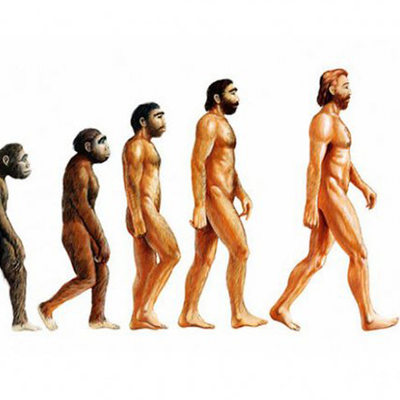 Timeline: La evolución de los Homínidos