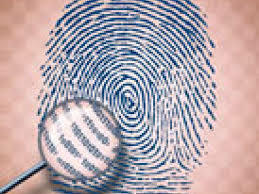 El documento de Hepburn, “The Papillary Ridges on the Hands and Feet of Monkeys and Men”