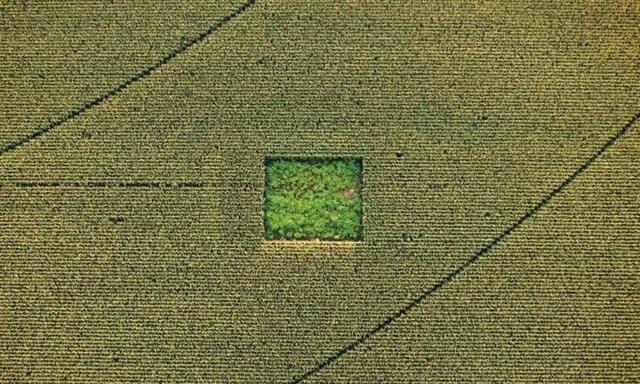 In re Oliver (Oliver v. United States)