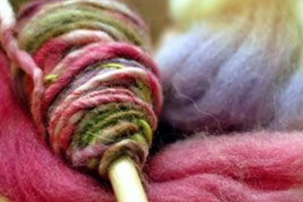 Aparición del Tejido