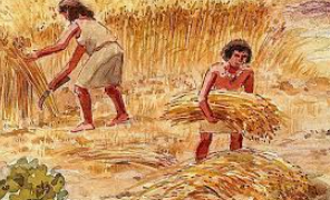 Descoberta de l'Agricultura