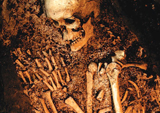 Neanderthal bone fossils discovered, 1856