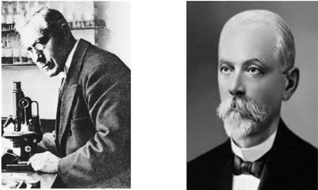 Dmitri Ivanovsky & Martinus Beijerinck