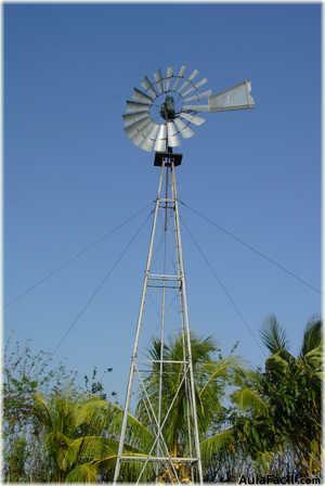 SE INTRODUCE EN AMERICA EL MOLINO MULTIPALA