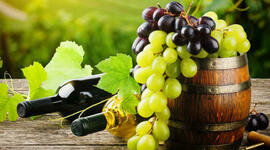 Timeline: Antecedentes e historia de la enología en el mundo