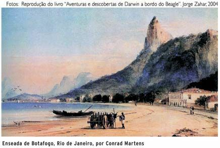 Viaje de Darwin en Basil