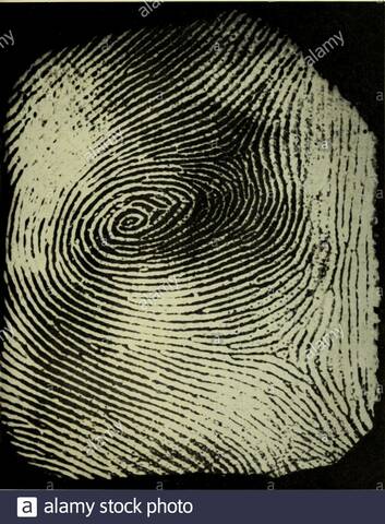 El Comité Belper en Inglaterra, presidido por Lord Belper, recomendó que todos los registros de identificación criminal fueran clasificados por el sistema de huellas dactilares