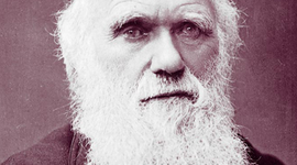 Timeline: Biografía de Charles Darwin Ortiz Santiago1C2