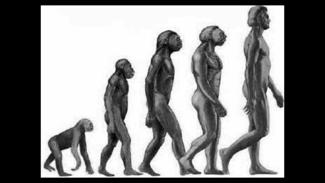 Teoria de Darwinisme