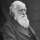Darwin 1878
