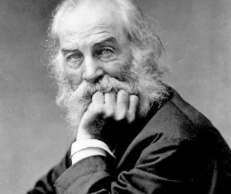 Julius Richard Petri