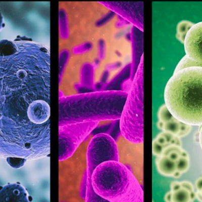 Timeline: Historia de la Microbiología