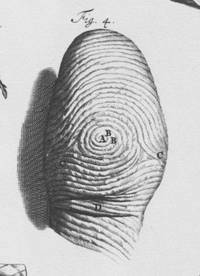 J.C. Mayars, Argentina