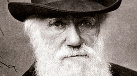 Timeline: Actividad 3: Biografía sobre la vida de Darwin