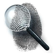 William Herschel, Europa