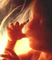 Dr. Alfred R. Hale, publicó una tesis titulada “Morphogenesis of Volar Skin in the Human Fetus”