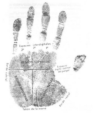 Harris Hawthorne Wilder