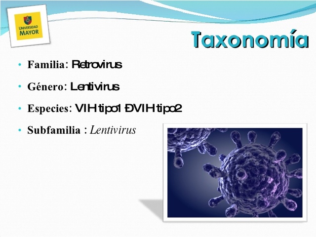 Taxonomía VIH