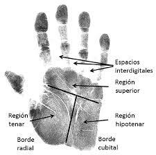 William Stirling, Francia