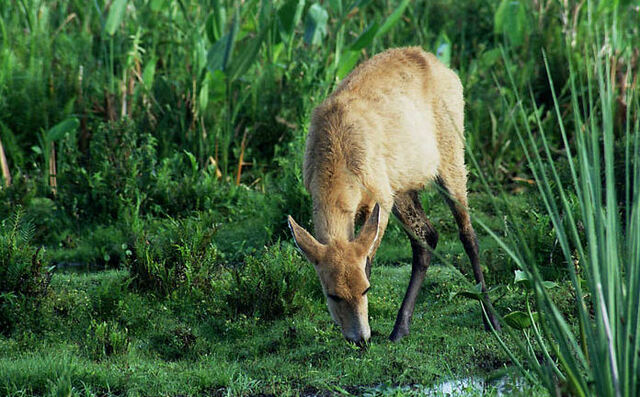 Expedition details: locals