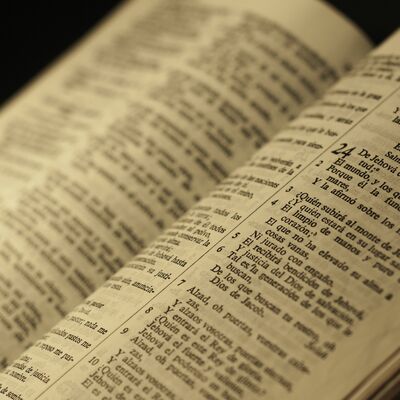 Timeline: Linea del tiempo