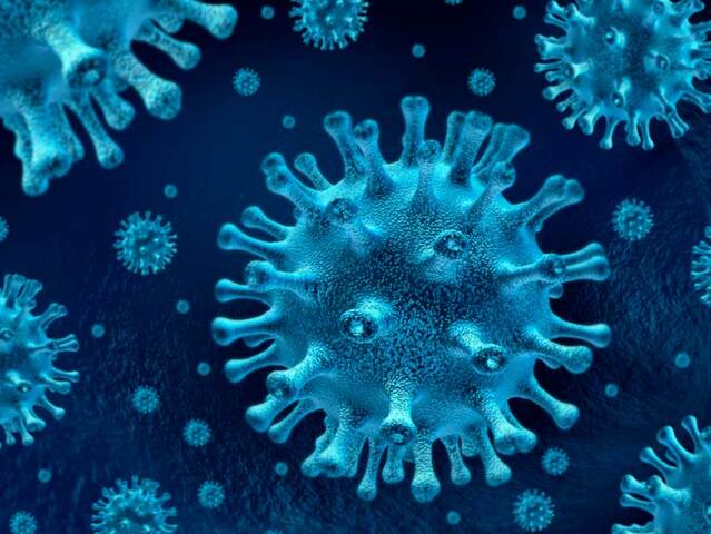 Coronavirus19