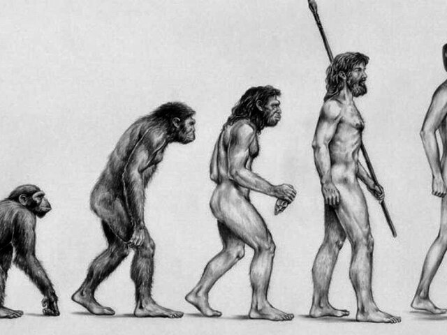 La teoria de la evolución