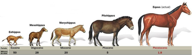Finalizacion del viaje