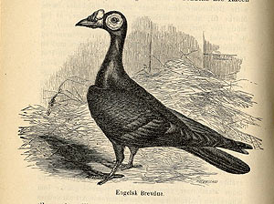 Primer borrador de un gran descubrimiento