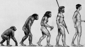 Timeline: La evolución del ser humano