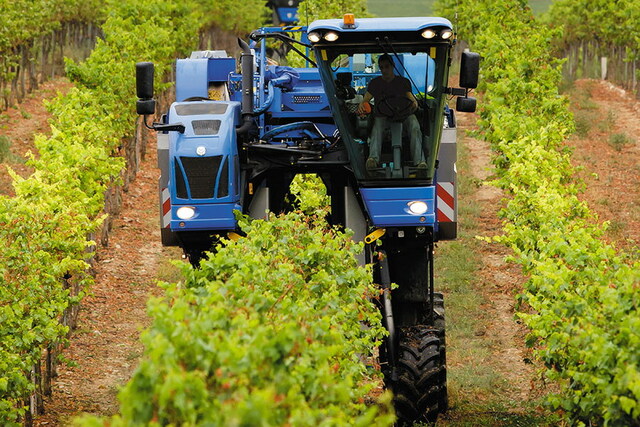 Cosechadoras de uva