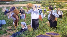 Timeline: Linea del tiempo de la vendimia