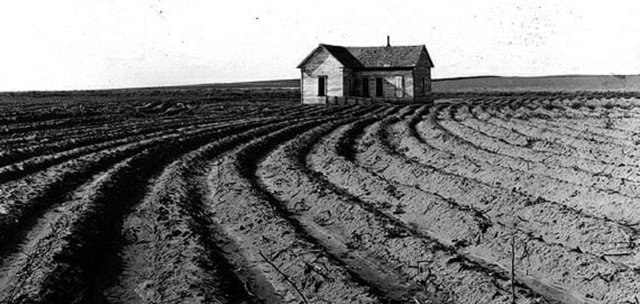 Farmer's price of Wheat Drops (5ws)